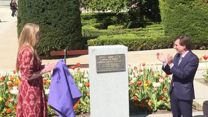 Amalia de Holanda se recupera en Palacio tras su accidente y operación de urgencia