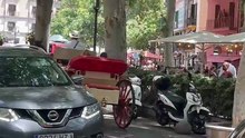 Caballos trabajando en Palma con altas temperaturas