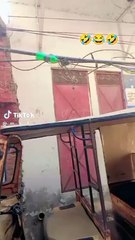 Funny video, tention relief, comedy, be happy.