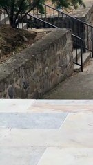 ratas en santa bárbara