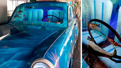 Studentessa trova un'auto trasformata in acquario con pesci: il video diventa virale su TikTok