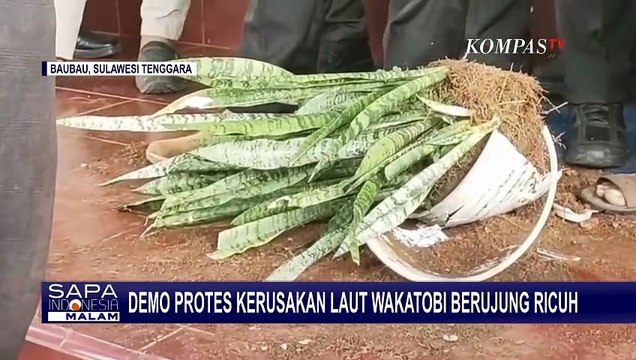 Aksi Aktivis Lingkungan Protes Kerusakan Terumbu Karang Wakatobi Berujung Ricuh