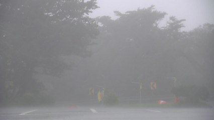 [날씨] 산림청, 제주·경상·전라 산사태 위기 경보 '주의' / YTN