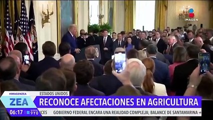 Trump reconoce estragos en los sectores de la agricultura y la hotelería por las redadas migratorias
