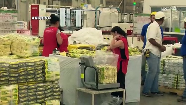 Proponen ampliar de 15 a 60 días la licencia de paternidad para servidores públicos