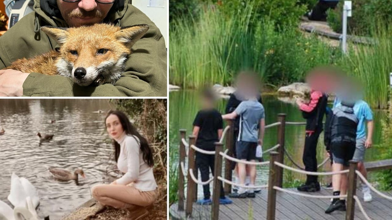 Renewed calls to ban catapults as Kent sees hundreds of incidents