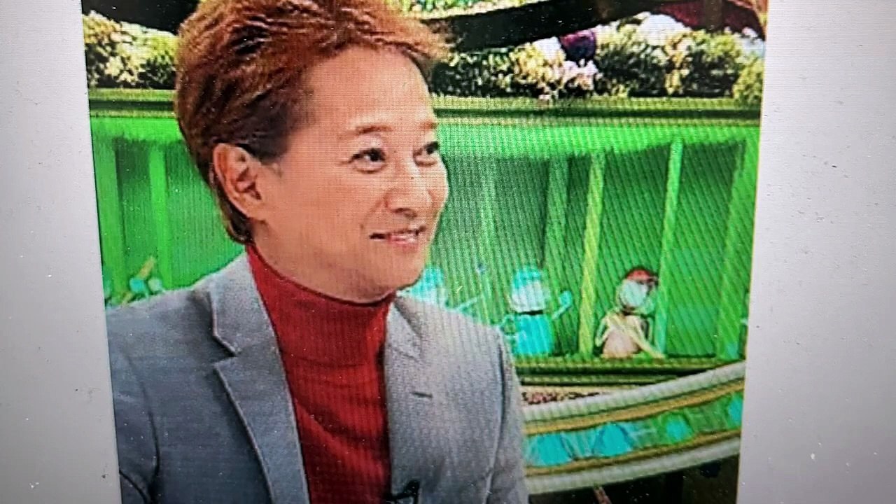 【真如苑】犯罪宗教真如苑芸能人一覧#私は創価学会#集団ストーカー#真如苑#NEC#NECネッツエスアイ放送#府中運転免許試験場#多摩中央病院#多摩市役所#多摩中央警察署#創価学会#威風堂々の歌
