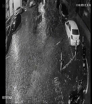 Árvores caem com chuva no Matatu de Brotas e moradores alertam para risco constante