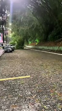 Árvores caem com chuva no Matatu de Brotas e moradores alertam para risco constante