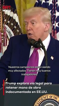 El presidente Donald Trump planea emitir una orden ejecutiva que permitiría a inmigrantes indocumentados seguir trabajando en sectores como el agrícola, turístico y hotelero, sin riesgo de ser deportados.