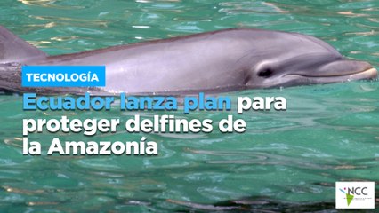 Ecuador lanza plan para proteger delfines de la Amazonía