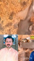 Shruti Hassan tarika kavya repair karne ka