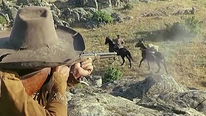 ZEMSTA RINGO -  POLSKI LEKTOR