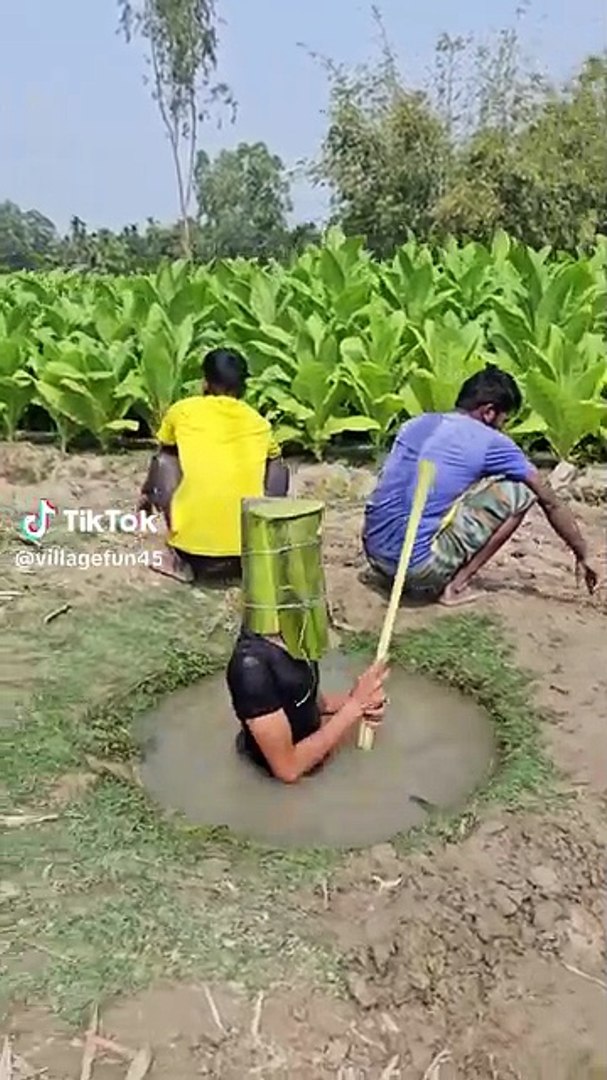 Comedy films and funny videos