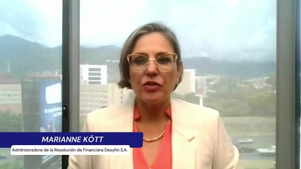 ext-marianne-kott-resolutora-desyfin-130625