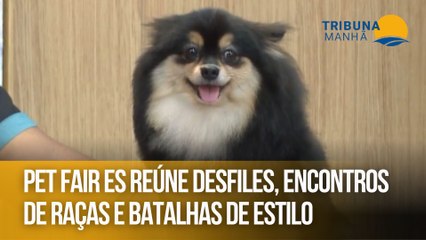 Pet Fair ES reúne desfiles, encontros de raças e batalhas de estilo
