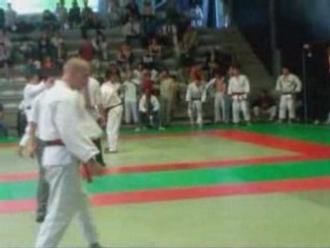 Fabien delmas inter 2008 jsa-judo