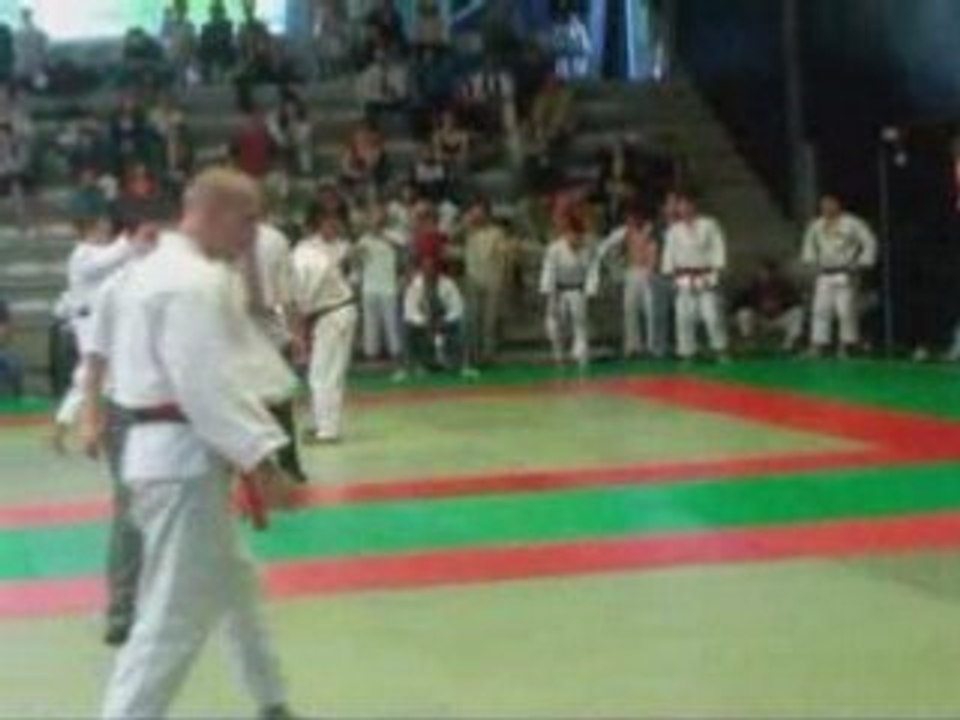 Fabien delmas inter 2008 jsa-judo