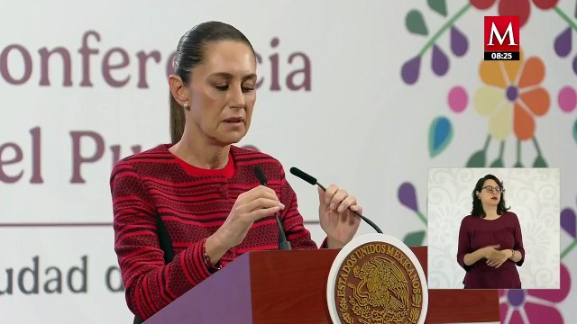 Sheinbaum pide que se revise el caso Wallace; “muchísimos cuestionamientos”
