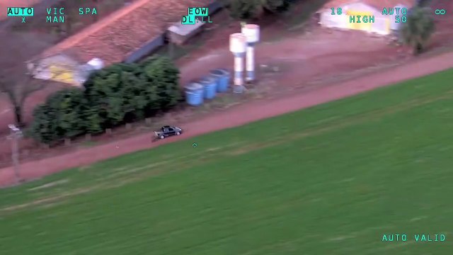 Falcão da PM auxilia na apreensão de 700 kg de maconha; veja as imagens aéreas