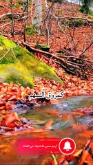 صفات الخوارج | قصة النبي ﷺ مع ذي الخويصرة.. يوم قال له: اعدل | فضلاً وليس أمراً اكتب شيء تؤجر عليه