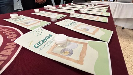 Estudiantes yucatecos fusionan ciencia y tradición para crear cicatrizante natural