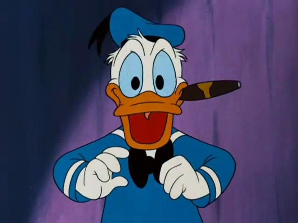 Canvas Back Duck 1953