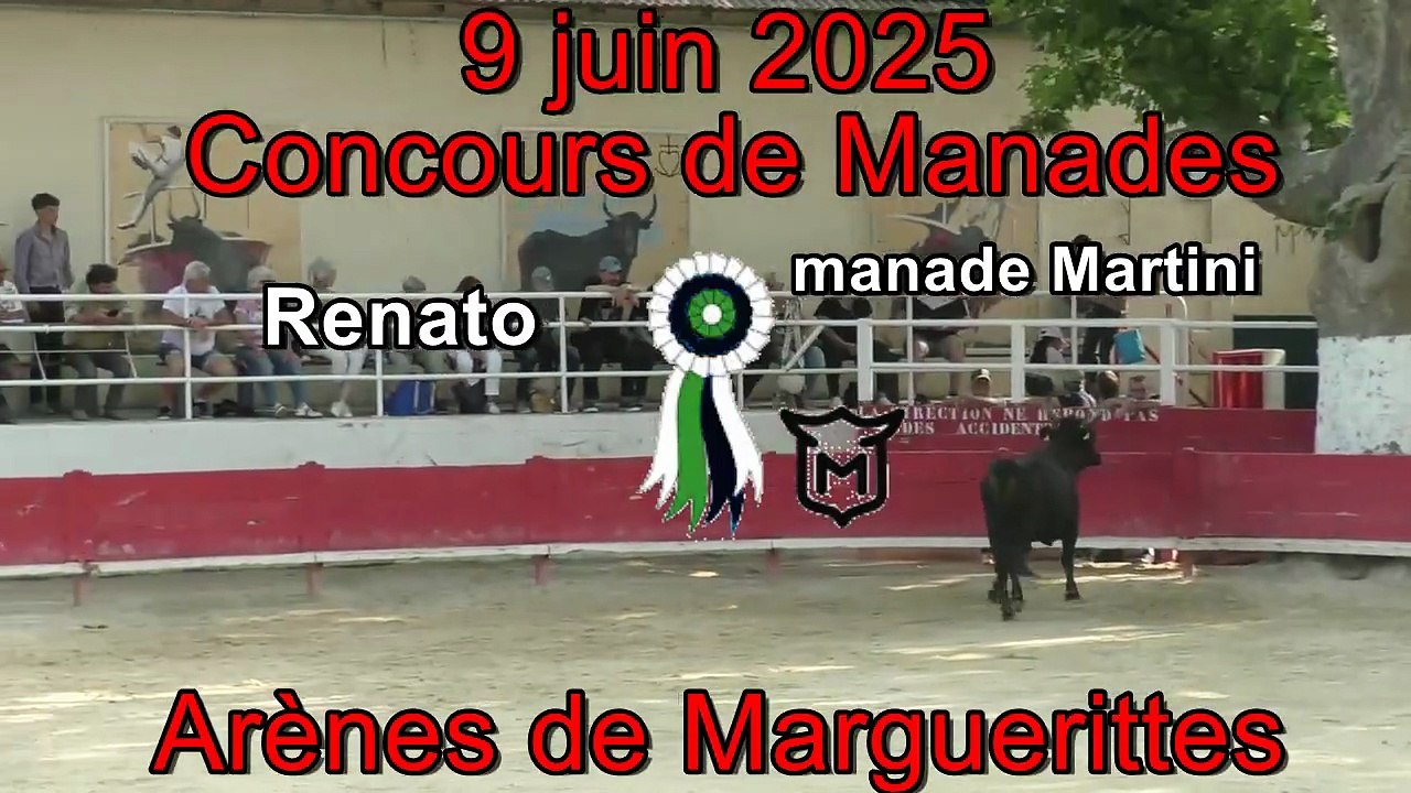 2025 06 09 Renato Martini