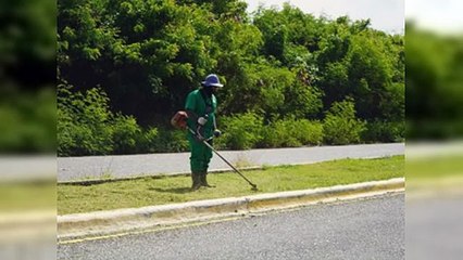 Digecac embellece el Boulevard de Juan Dolio con operativo de poda
