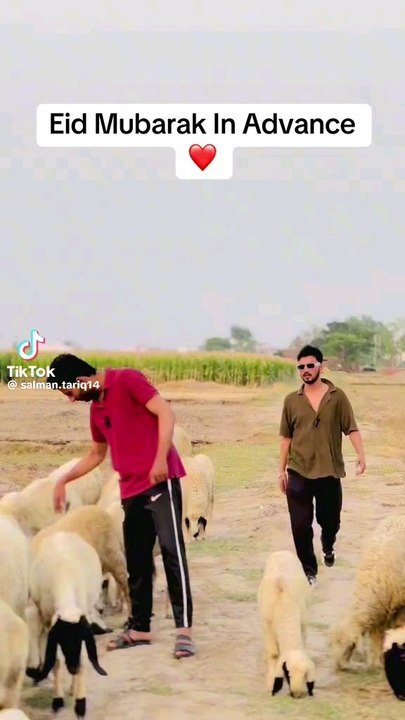 funny video😀😀😀