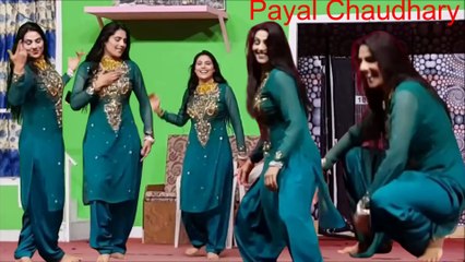 Payal Chaudhary, hot Stage sexy mujra, dance performance 2025