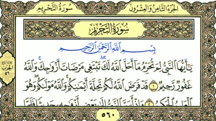 Surah At-Tahrim سورة التحريم | Mesmerizing Full Quran Recitation  Pure Surah At-Tahrim سورة التحريم | Complete Tilawat for Spiritual Peace