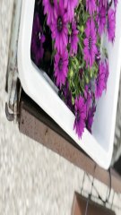 Il covo del gusto - Lucera