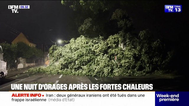 Orages: dans les Yvelines, un homme de 68 ans est mort, tué par un arbre abattu par la foudre