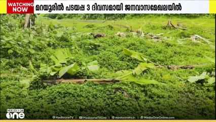 ഇടുക്കി മറയൂരിൽ മൂന്നു ദിവസമായി ജനവാസമേഖലയിൽ തുടർന്ന് പടയപ്പ