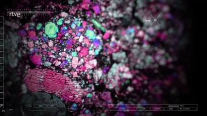 Cazadores de asteroides: Cómo prevenir colisiones con la Tierra