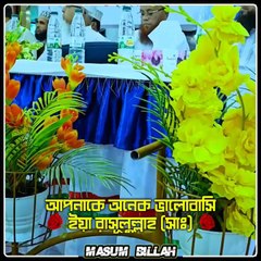 জীবনে একবার হলেও আল্লাহ তাআলা যেন সোনার মাদীনায় রাসূল সাল্লাল্লাহু আলাইহি ওয়াসাল্লামের রওজা মোবারক জিয়ারত করার তৌফিক দান করুন আমীন 🤲