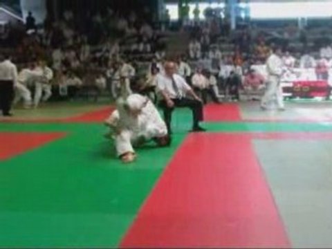 Mathieu lalanne inter 2008 jsa-judo