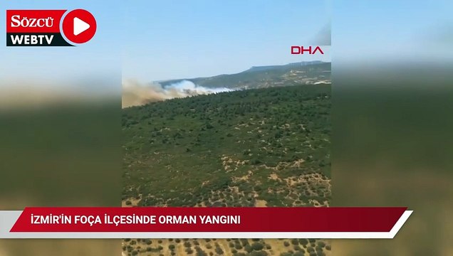 İzmir'in Foça ilçesinde orman yangını