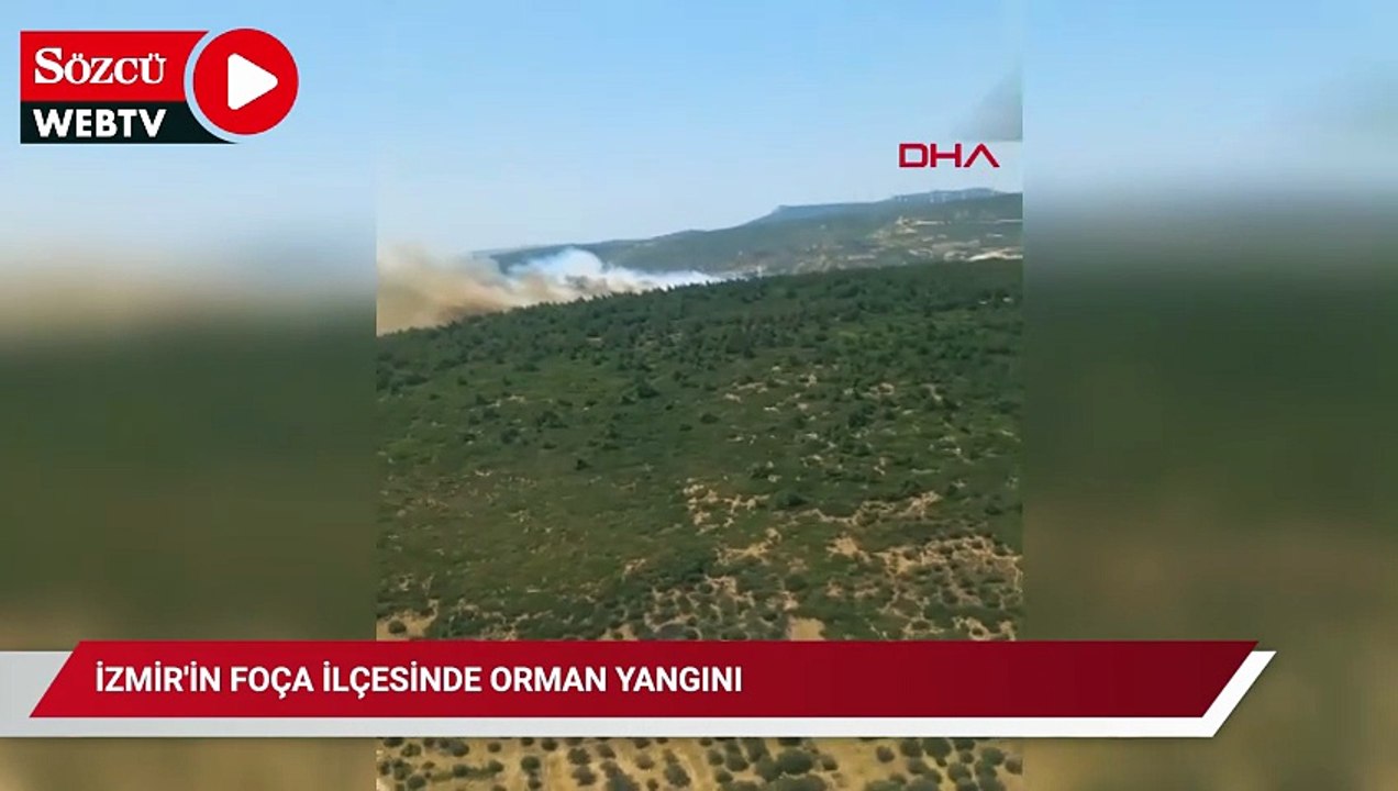 İzmir'in Foça ilçesinde orman yangını