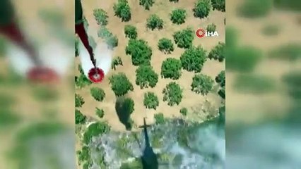 Germencik’te orman yangını