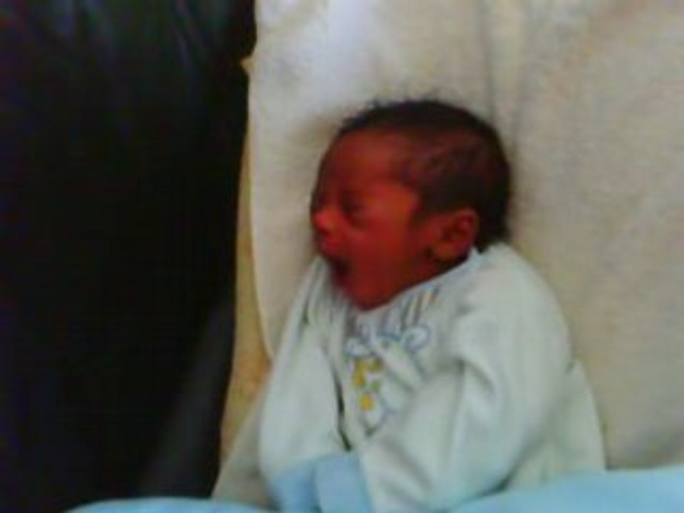 Yoni ( L )