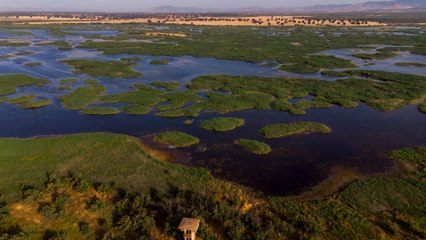 Las Tablas de Daimiel, a ojo de dron