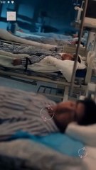 Don’t Mess With The nutes)