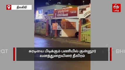 "ஒரு அக்கவுண்ட் ஓபன் பண்ணனும்".. வங்கி வளாகத்தில் உலா வந்த ஒற்றை கரடி!