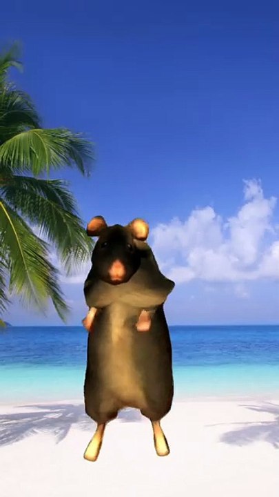 Ratdance