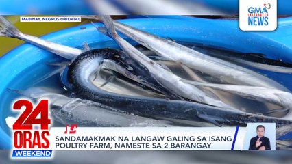 Sandamakmak na langaw galing sa isang poultry farm, nameste sa 2 barangay | 24 Oras Weekend