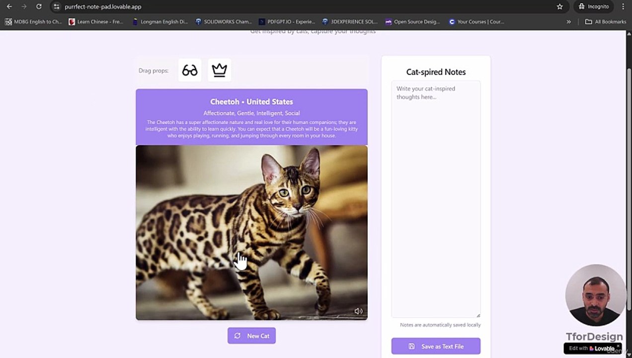 App 2 - Cat inspired note taking app 1 -The App we are Building!