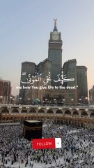 اكتب شيء ينفعك بعد موتك |تلاوة هادئة|