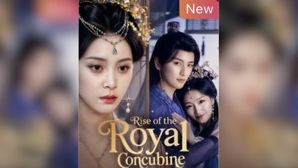 Rise of The Royal Concubine / Rise of the Consort